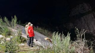 Ситуация с селевой опасностью в Алматы остается стабильной — МЧС РК