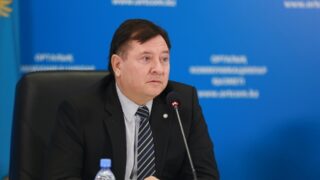 Николай Радостовец: Президент Токаев поднял ключевые вопросы развития сферы критических материалов