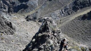 В Чарынском нацпарке будут следить за хищной птицей