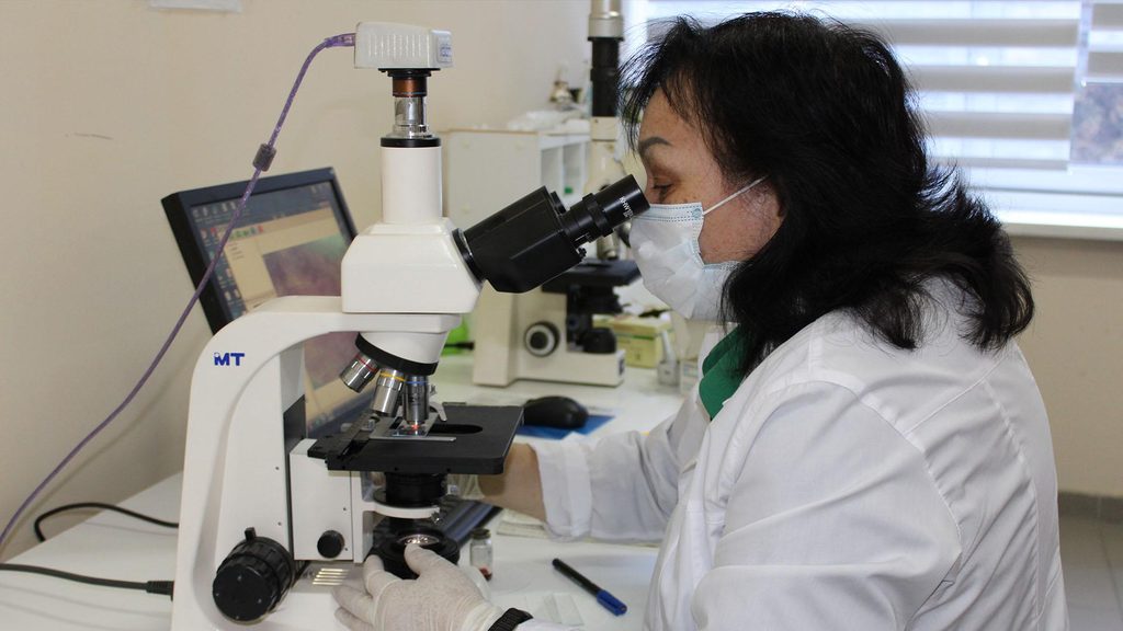 Иллюстрация — 13,5 млн га земли вернули в оборот в Казахстане