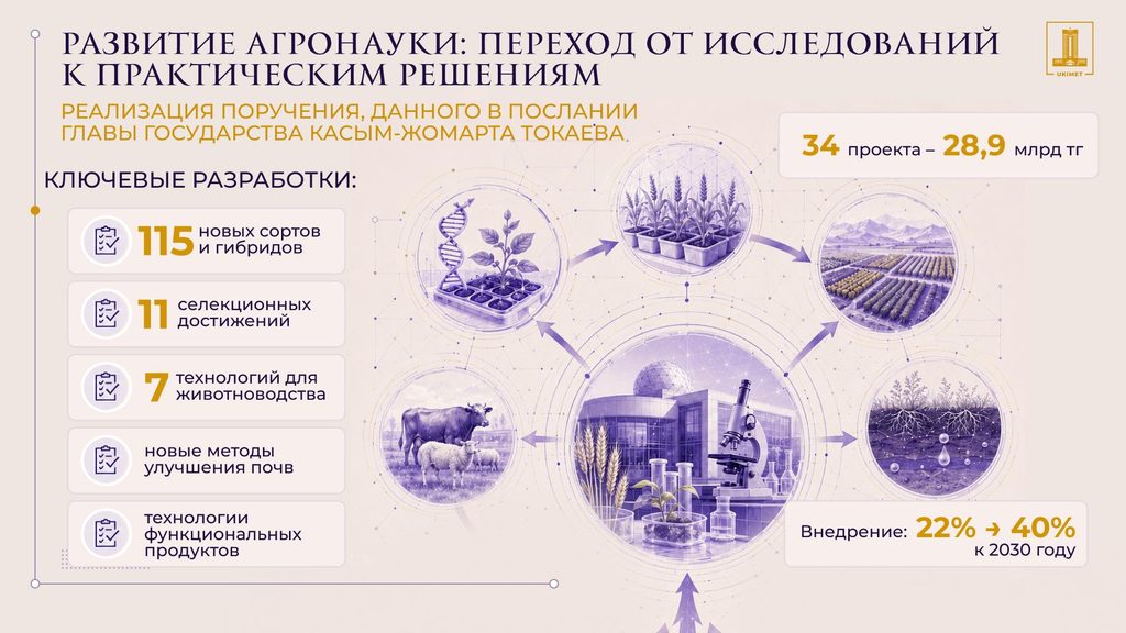 Иллюстрация — 13,5 млн га земли вернули в оборот в Казахстане