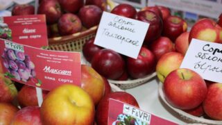 13,5 млн га земли вернули в оборот в Казахстане