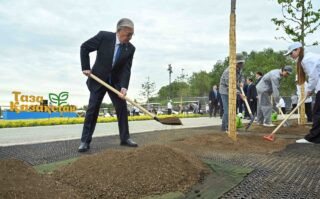 Токаев посадил деревья в Астане