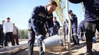 В центральном парке Балхаша создаётся новая зелёная зона при участии «Казахмыса»