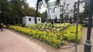 В Алматы формируют единую пешеходную зону по улице Карасай батыра