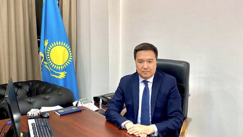 Зятьев Назарбаева уволили. Bizmedia.kz