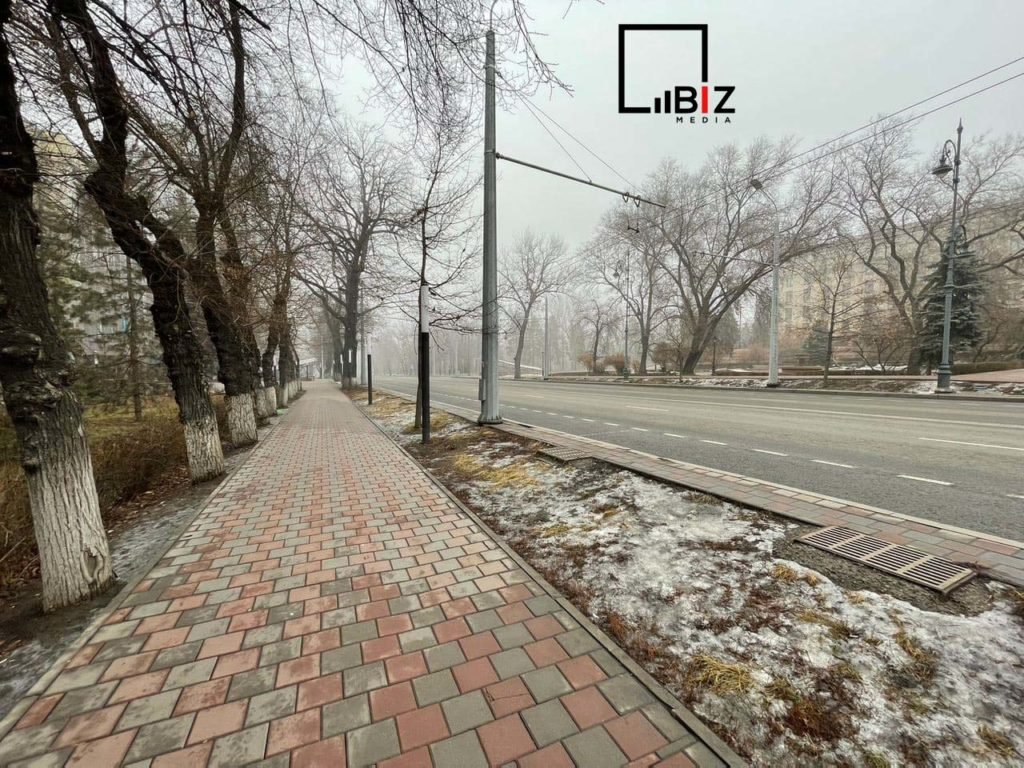 Беспорядки в Алматы в фотографиях. Bizmedia.kz