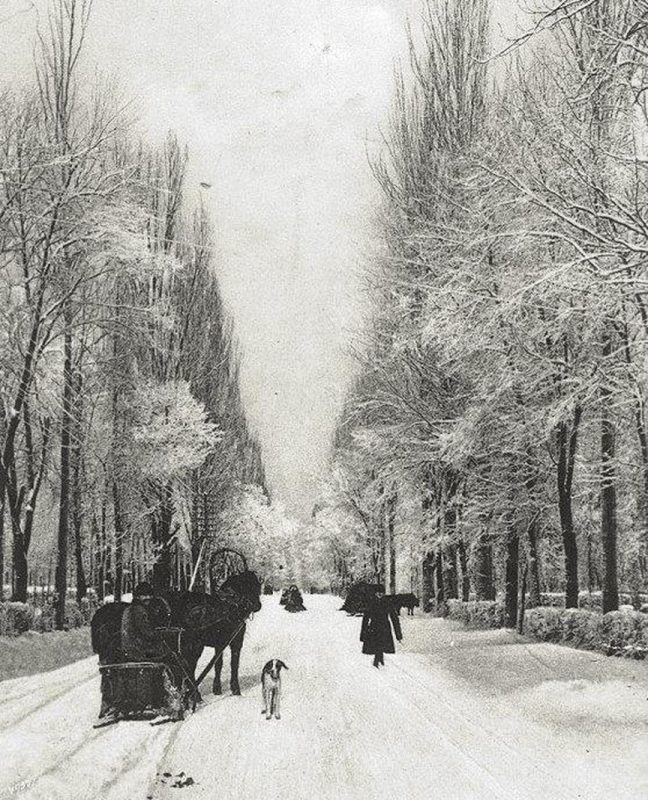 Аллея Колпаковского — 1913