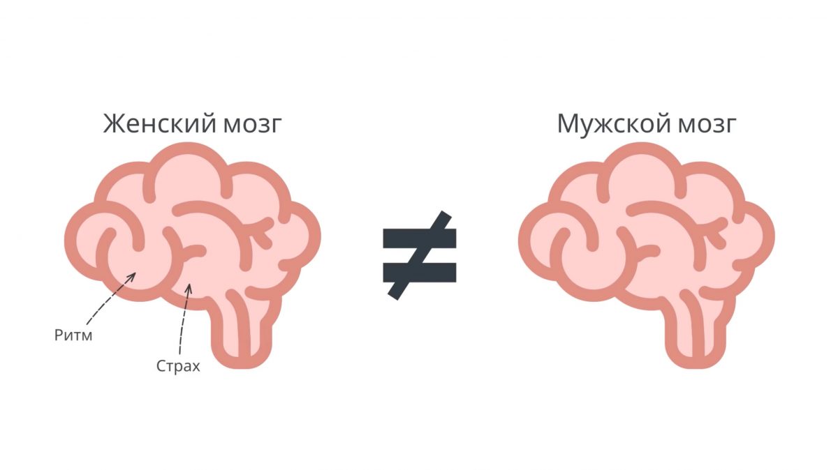 Мозг мужчины и женщины прикол картинки