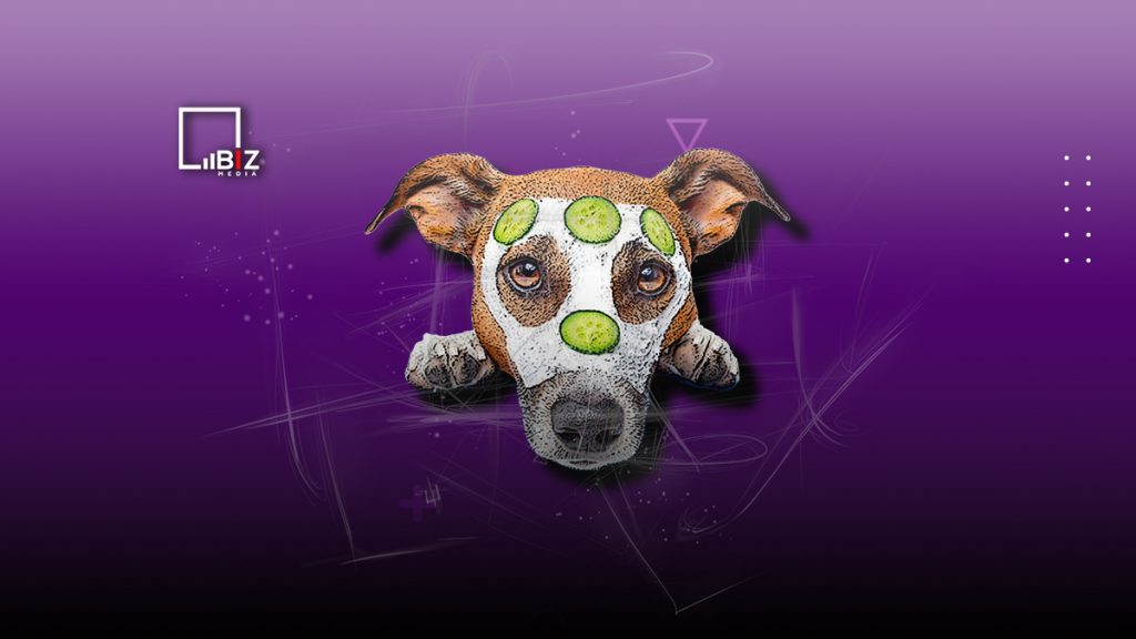 Лучшие бизнес-идеи для Казахстана в 2022