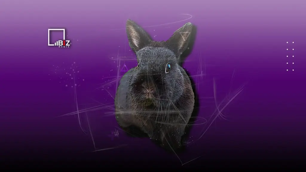 Год какого животного 2023 год? Согласно восточному календарю, 2023 год является годом "Черного водяного кролика".