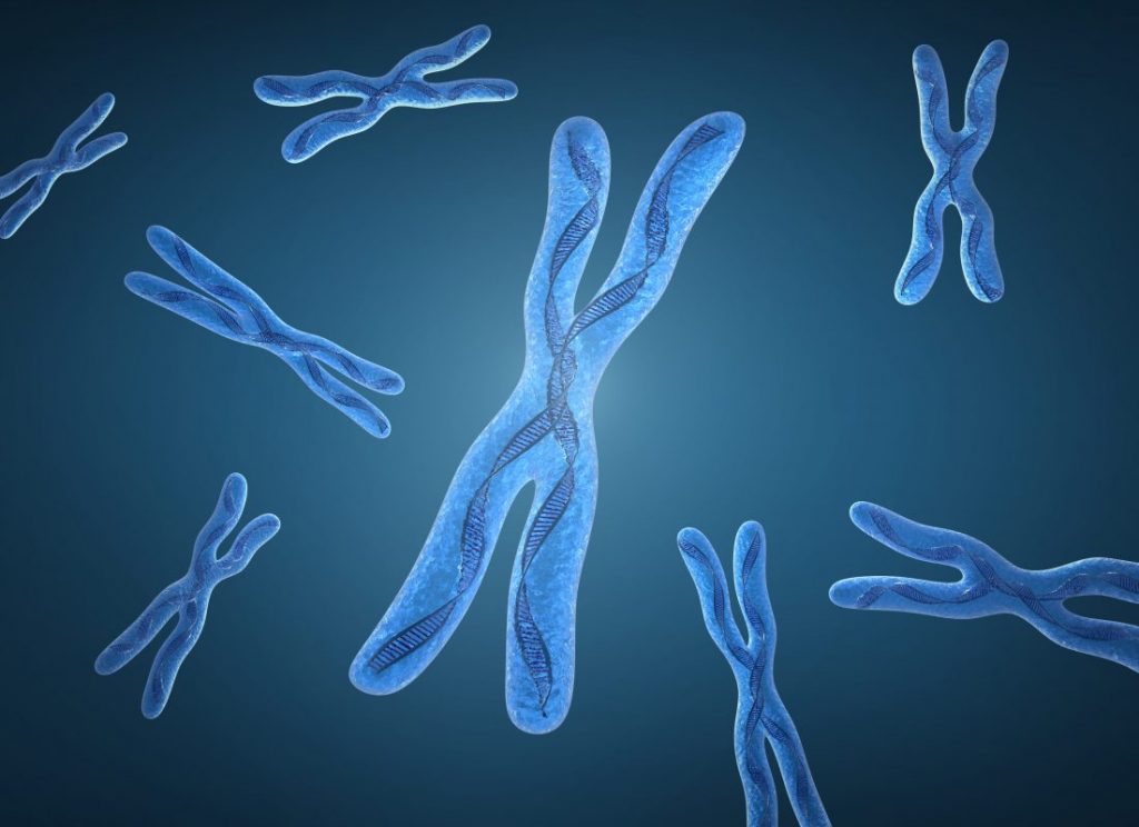 Хромосомные-мутации