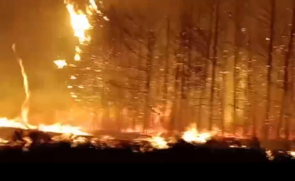 Почему случился лесной пожар и кто виноват в костанайской трагедии