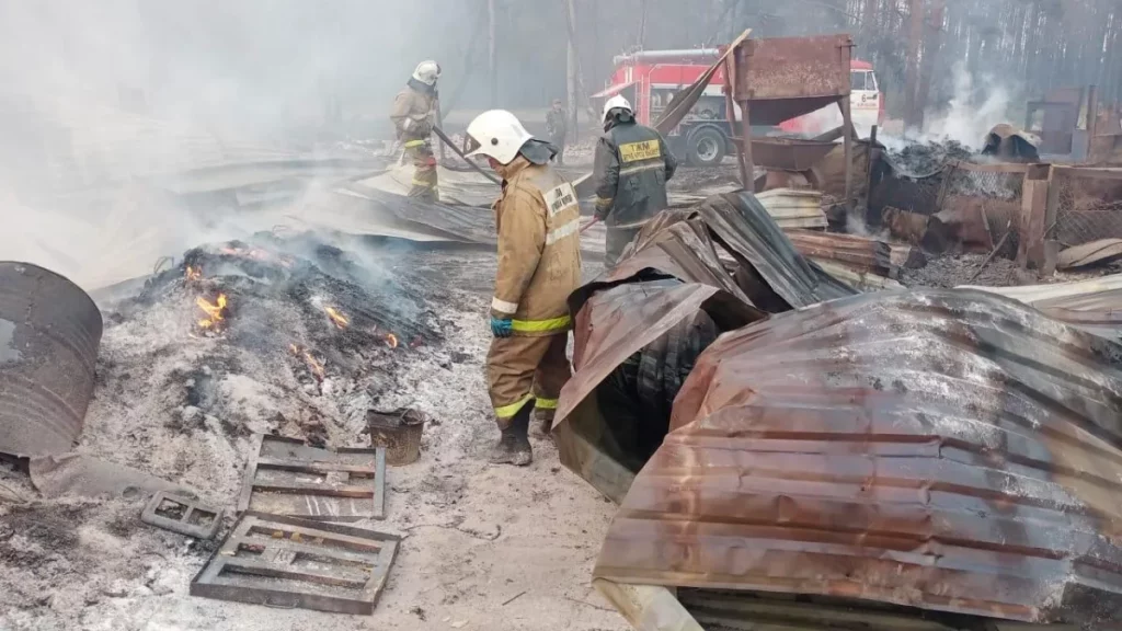 Почему случился лесной пожар и кто виноват в костанайской трагедии