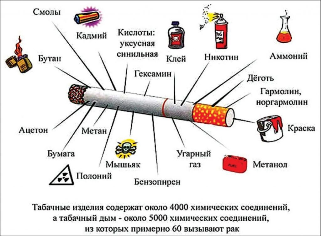 Какие вредные вещества хранит сигарета — инфографика