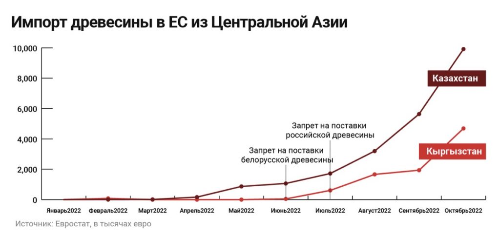 Экспорт древесины из РК увеличился на 74%, его везли в ЕС через Белоруссию по поддельным документам