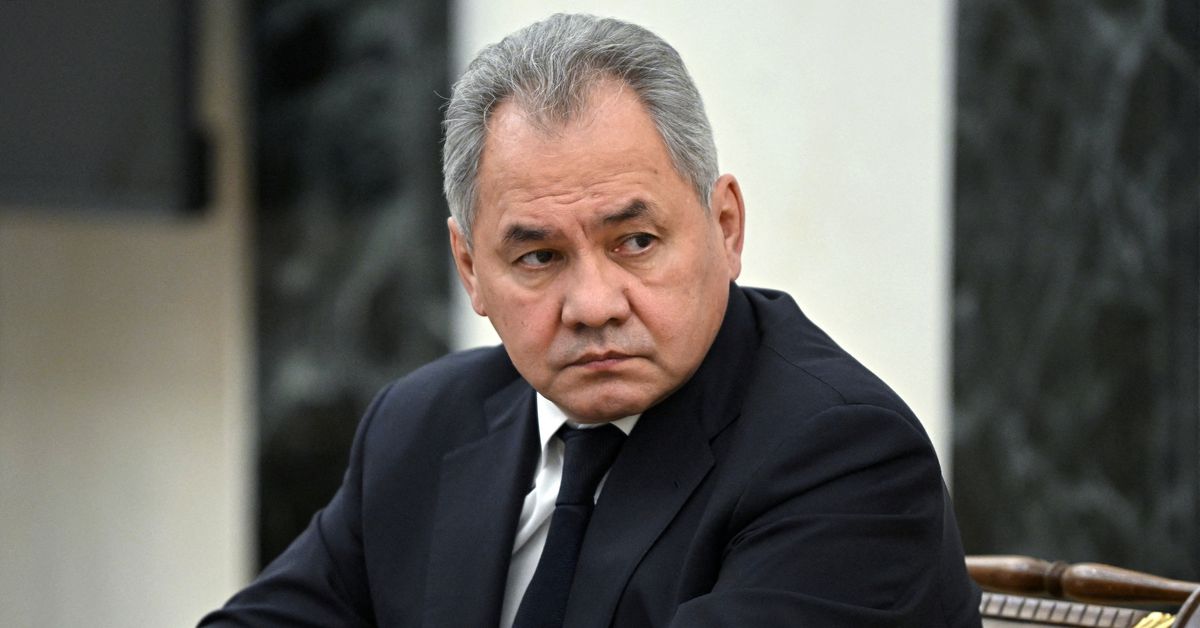 Russian Defence Minister Sergei Shoigu attends a meeting with Russian President Vladimir Putin in Moscow