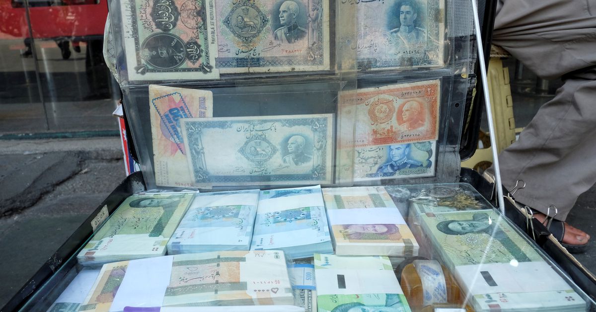 Управляющий центральным банком Ирана винит протесты в падении валюты