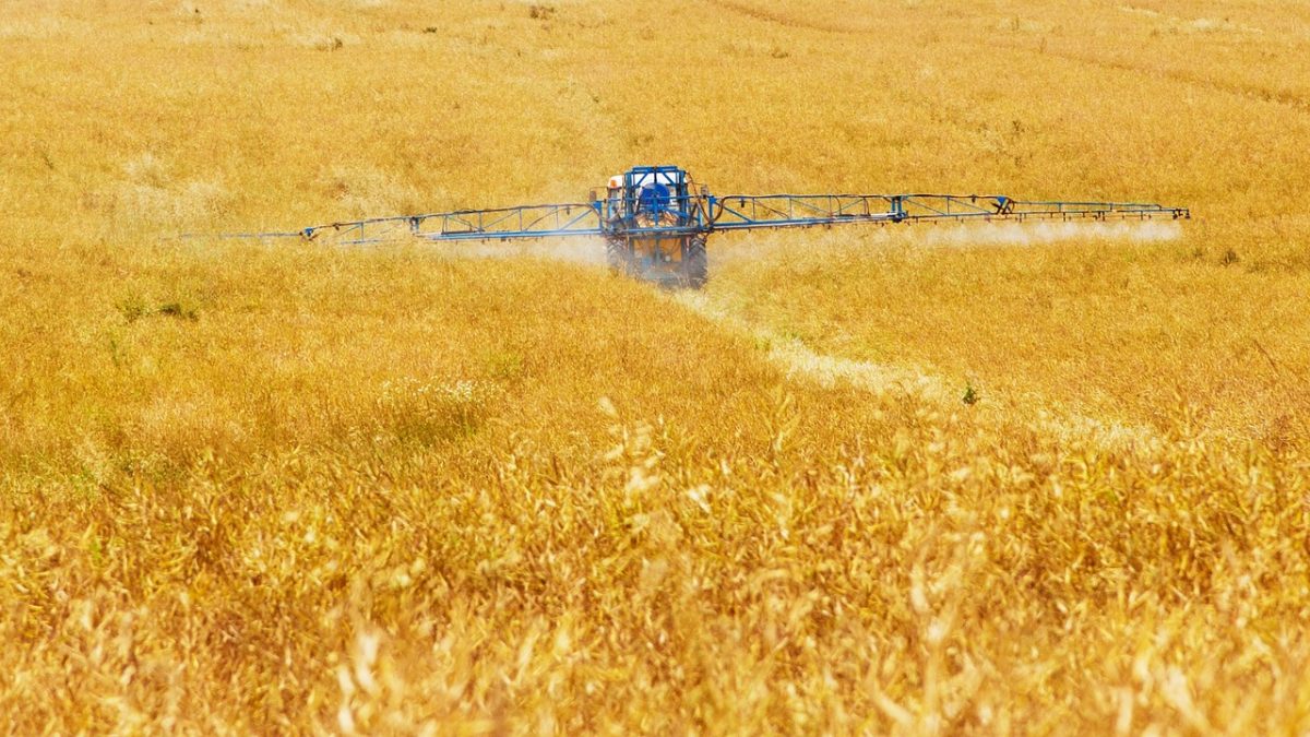 Фермеры Актюбинской области заявили о возможном срыве весенне-полевых работ из-за банков