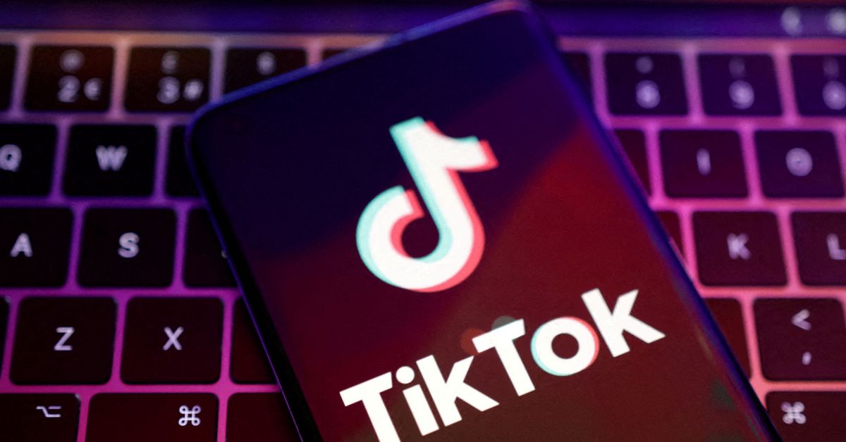 Запреты TikTok распространяются на все большее количество штатов США; компания по безопасности утверждает, что большая часть доступа заблокирована по всему миру