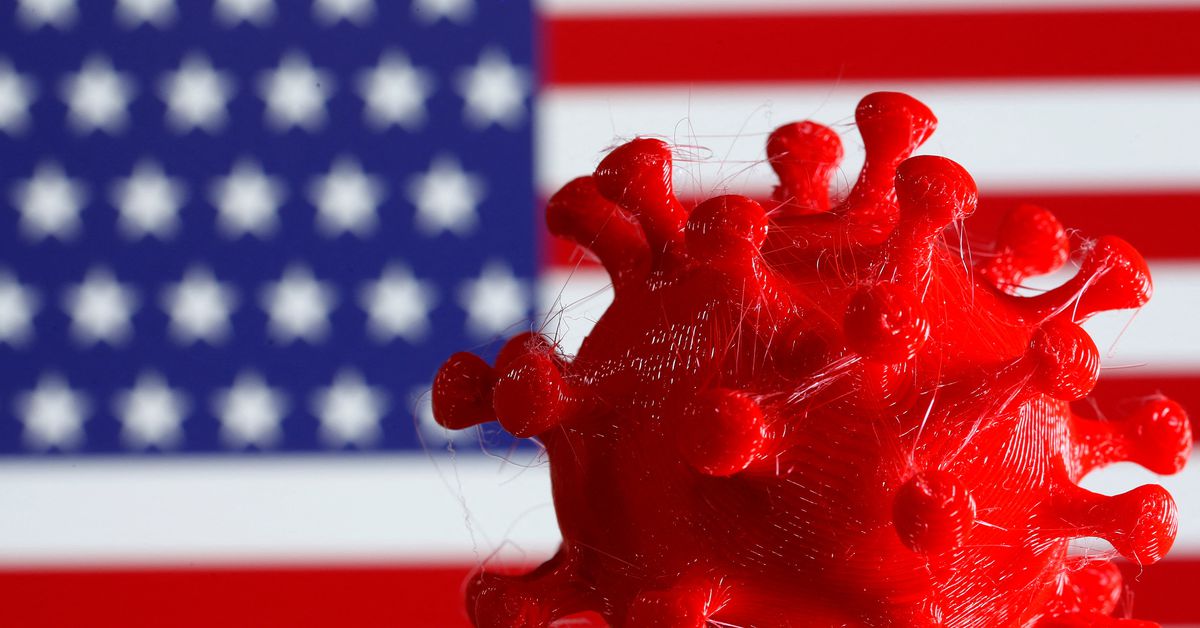 A 3D-printed coronavirus model is seen in front of a U.S. flag on display in this illustration