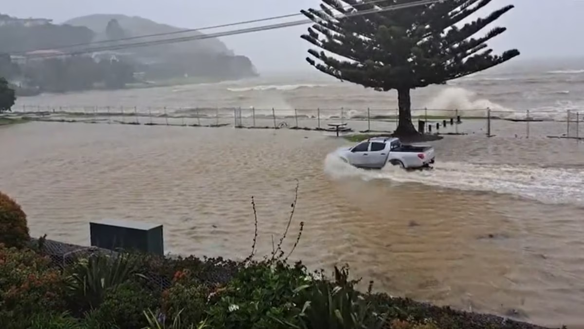Новая Зеландия объявила чрезвычайное положение в связи с циклоном «Габриэль»