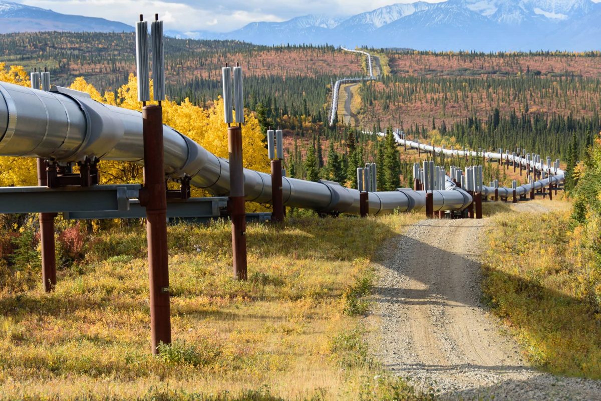 В Жамбылской области намерены отдать часть лесного фонда под магистральный газопровод «Казахстан-Китай»