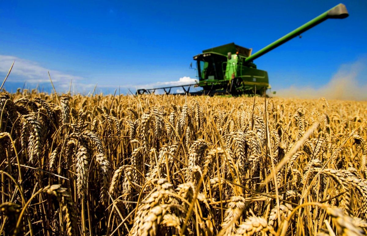 20 сельхозструктур Казахстана смогут экспортировать продукцию в Саудовскую Аравию