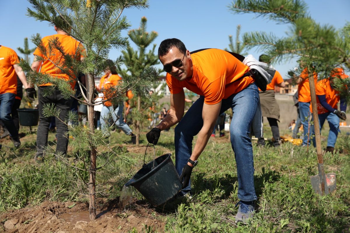 Jusan Bank в честь своей четвертой годовщины организовал экологическую акцию по высадке деревьев в городах Казахстана.