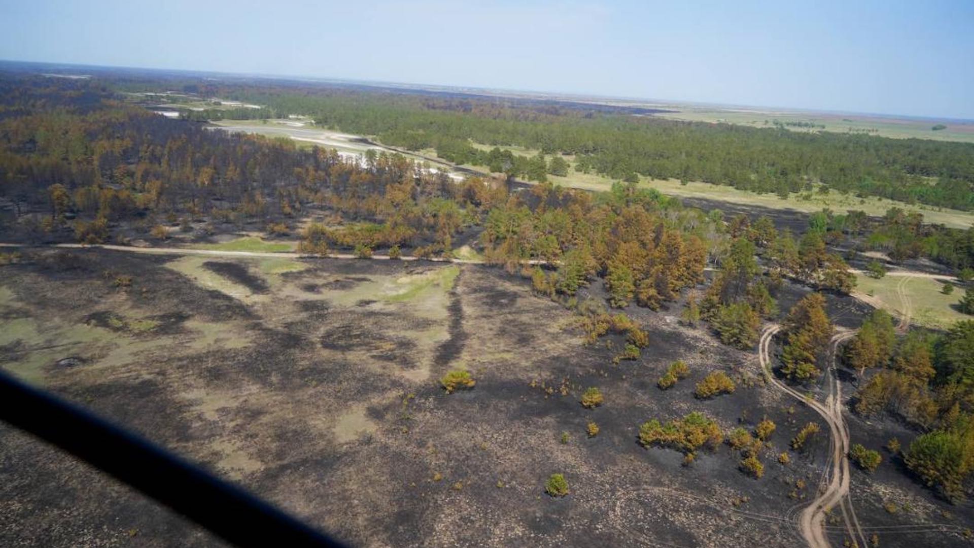 Лесной пожар в области Абай локализован после нескольких дней пожарных работ