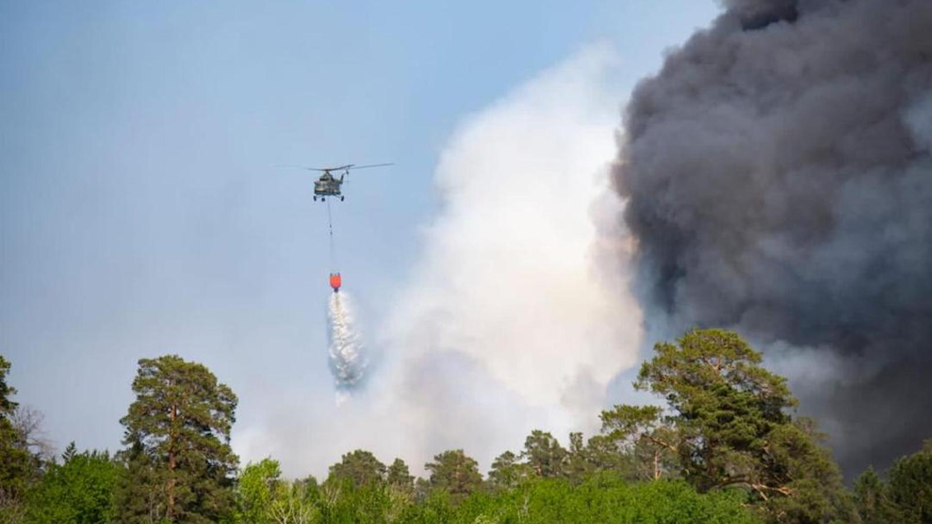 МЧС: Природный пожар в Абайской области локализован