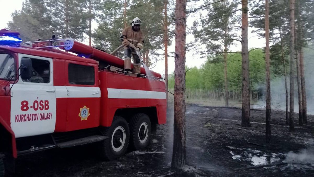 МЧС РК ликвидировал угрозу населенным пунктам при пожаре в области Абай