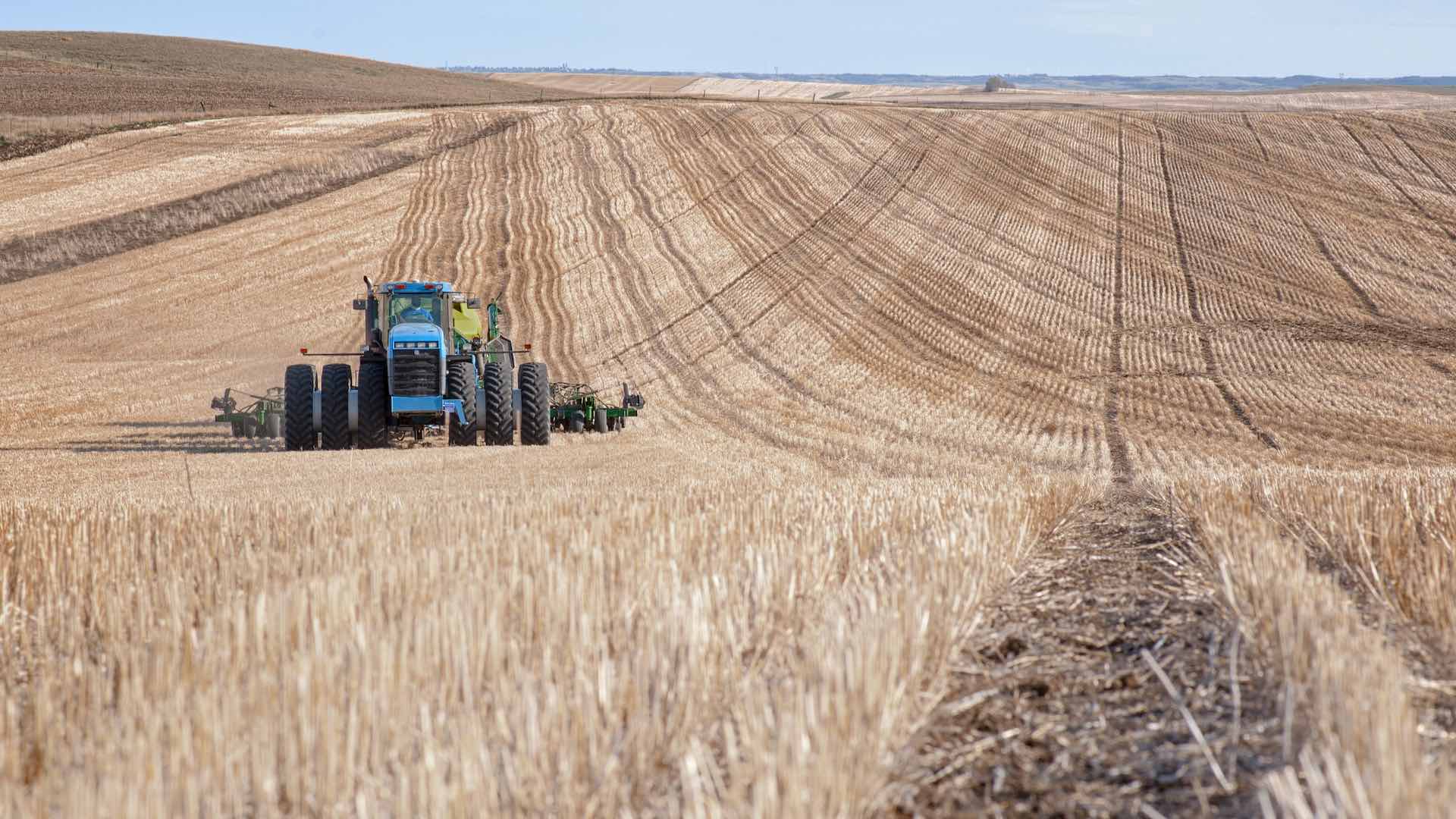 Правительство принимает меры, чтобы не допустить вывоз субсидированных удобрений, произведенных в Казахстане