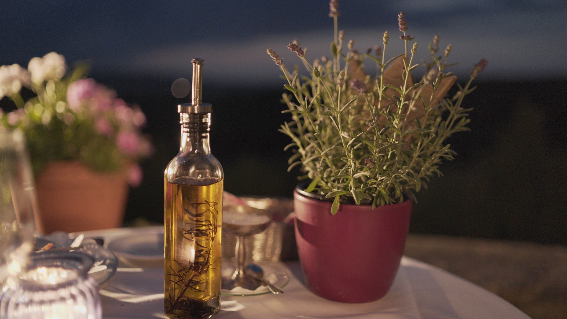 Производство оливкового масла в новом сезоне может увеличиться на 24%