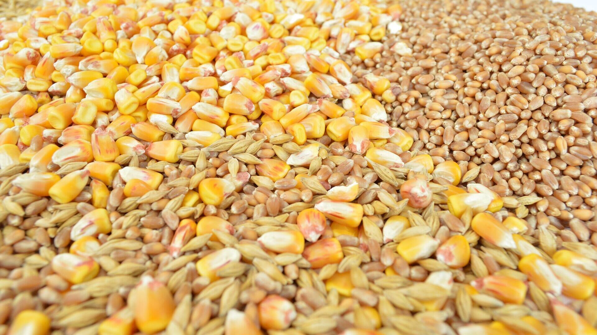 Торговля зерновыми и соей в США растет - Bizmedia.kz