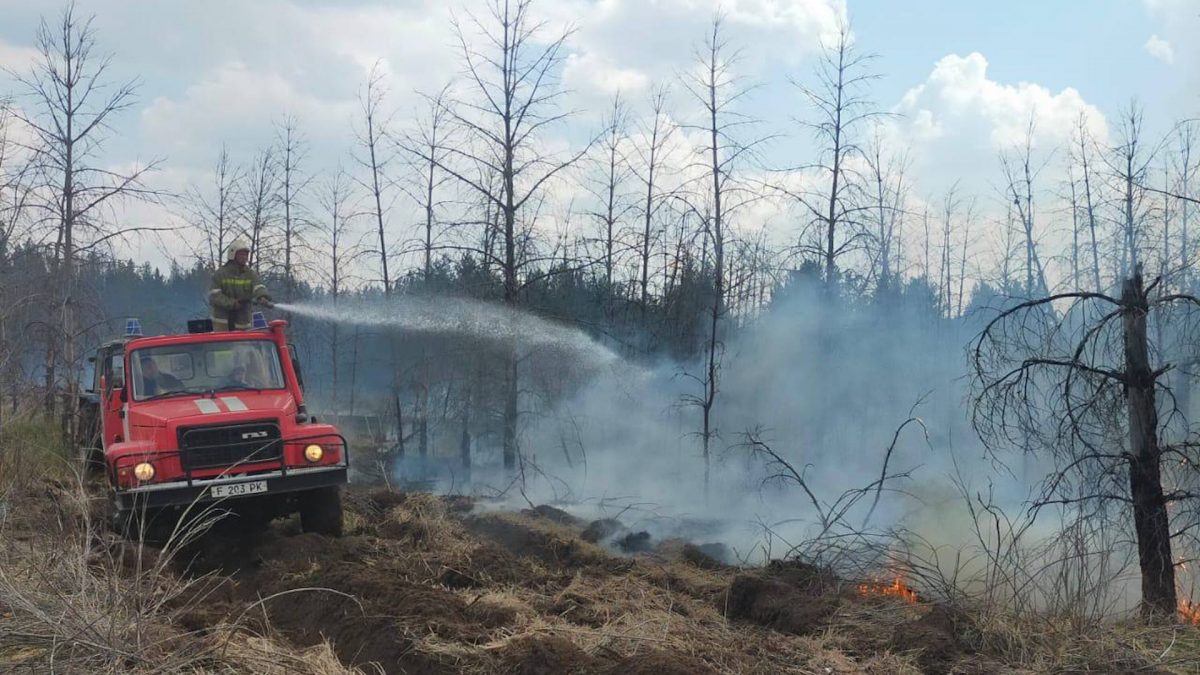 В районе пожара в Абайской области было эвакуировано примерно 300 человек