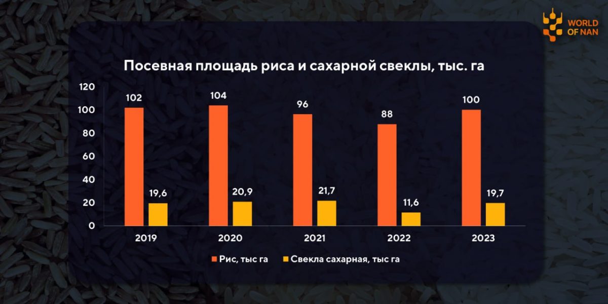 На 2023 год посевная площадь в Казахстане составляет 24 млн га 1