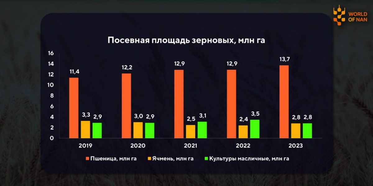 На 2023 год посевная площадь в Казахстане составляет 24 млн га