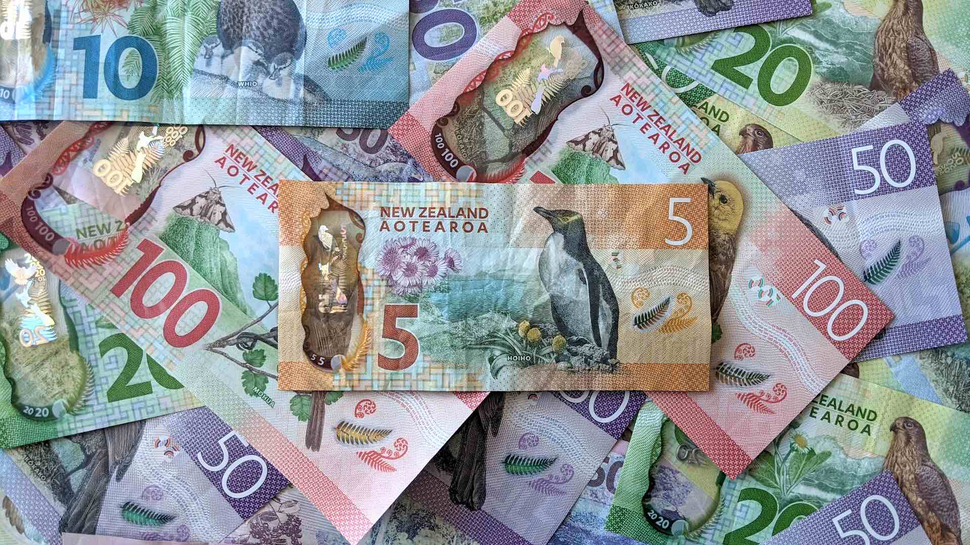 Новозеландский доллар: банкноты и купюры